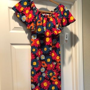 LuLaRoe CiCi Dress